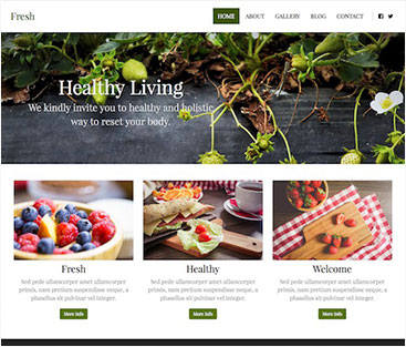 website-builder-theme-3